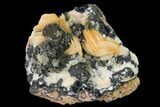 Cerussite Crystals with Bladed Barite on Galena - Morocco #165730-2